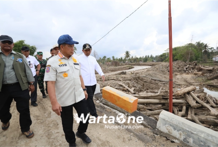 Soal Tumpukan Kayu Pascabencana, Kasatgas Tito Harap Kebijaksanaan Menteri Kehutanan
