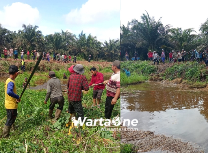 Warga Dusun Setia Jaya Blok C Desa Ramin Laksanakan Pembersihan dan Normalisasi Saluran Kolektor Secara Swadaya, Jaga Kebersihan dan Kesehatan