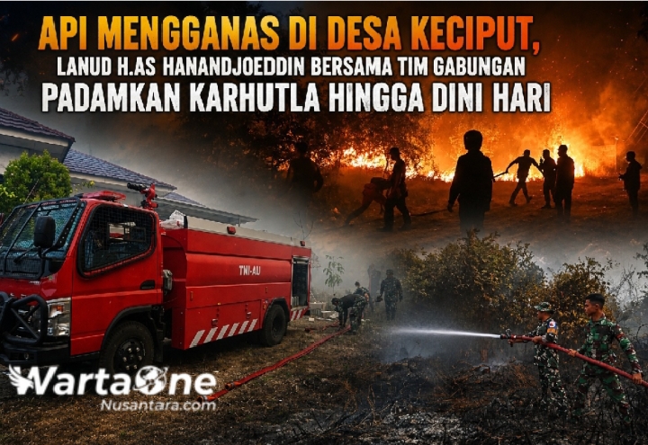 Api Mengganas di Desa Keciput, Lanud H.AS Hanandjoeddin Bersama Tim Gabungan Padamkan Karhutla hingga Dini Hari