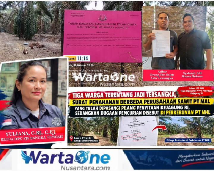 Dugaan Pengambilan Buah Sawit Tiga Warga Ditangkap di Terentang, Ketua DPC PJS Bangka Tengah: Perusahaan Lakukan Panen yang Sudah jadi Sitaan Kejagung Tolong Diproses