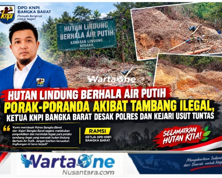 Hutan Lindung Berhala Air Putih Porak-Poranda Akibat Tambang Ilegal, Ketua KNPI Bangka Barat Desak Polres dan Kejari Usut Tuntas